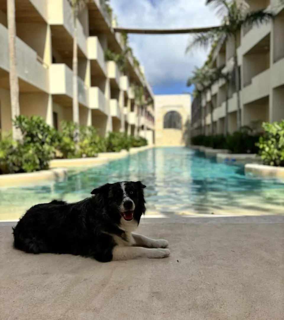 Apartment Cocay Departamento Jt Rentals Tulum Mexico