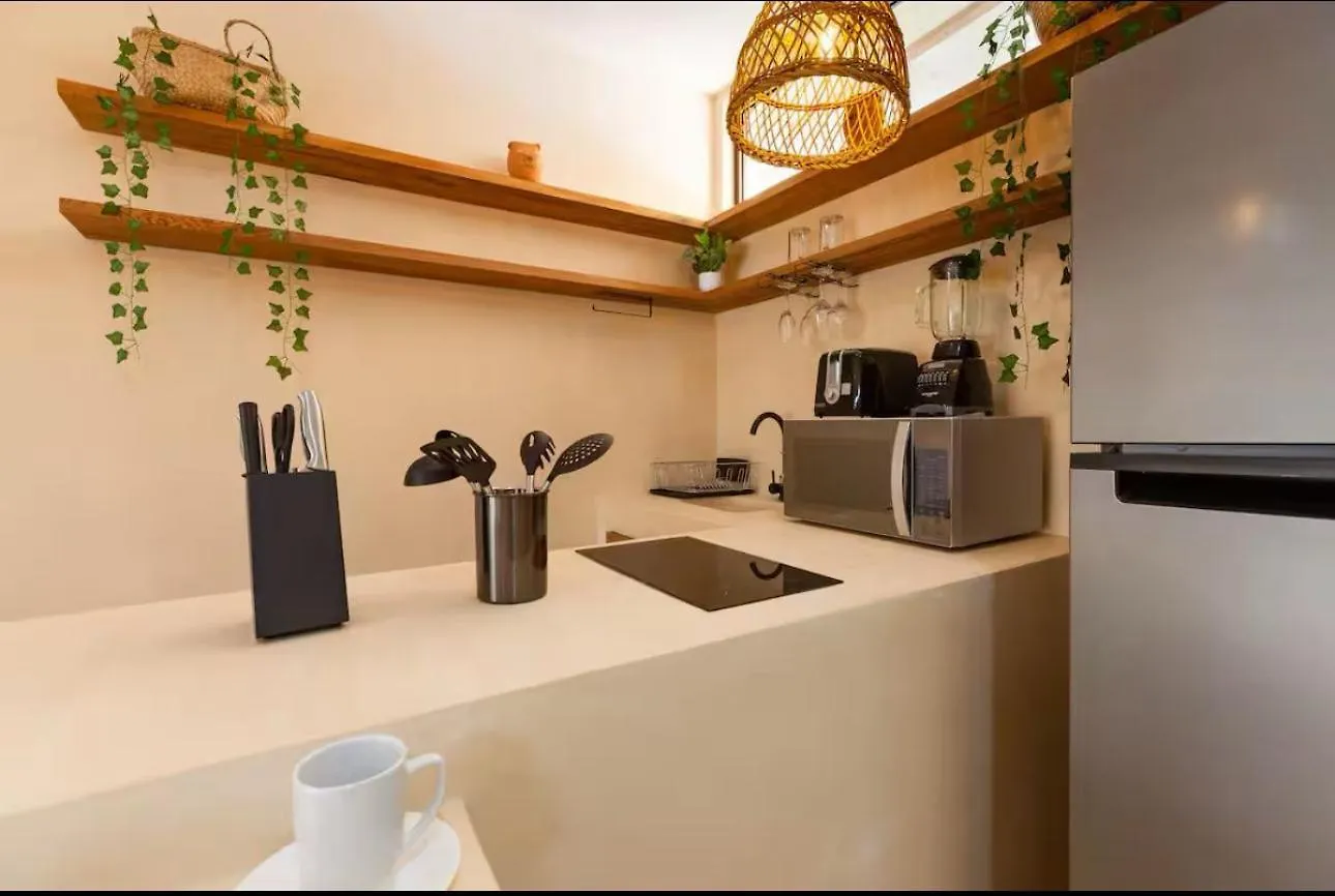 Cocay Departamento Jt Rentals Tulum 0*,  Messico